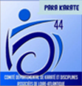 Découverte PARA-KARATE