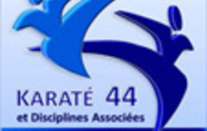 Stage Karaté Do - Pascal LECOURT 6ème DAN