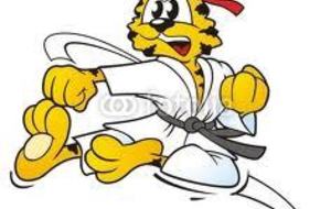 REPRISE DES ENTRAINEMENTS (Enfants de 7ans à 12ans) Débutants et 2ème Année + Gradés J/Or.