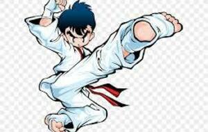 Stage KARATE J-François TISSAIRE 8ème DAN