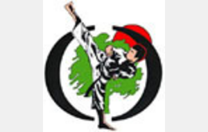 Réunion SKCO Assistants Cours Enfants et Adultes