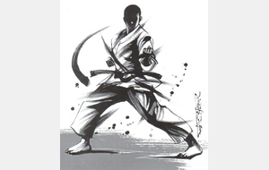 STAGE Christian CLAUSE "8ème DAN Expert Fédéral"