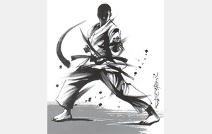 STAGE KARATE "Gilles CHERDIEU"