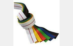 Passage de Grades N°3 - Adultes Débutants vers JAUNE