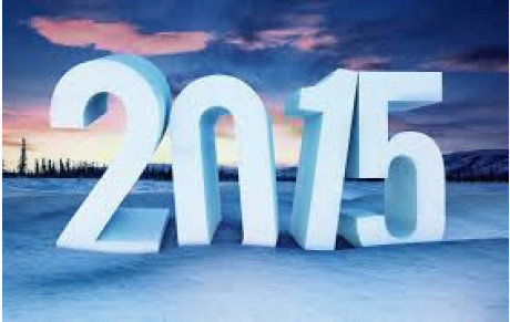 VOEUX 2015